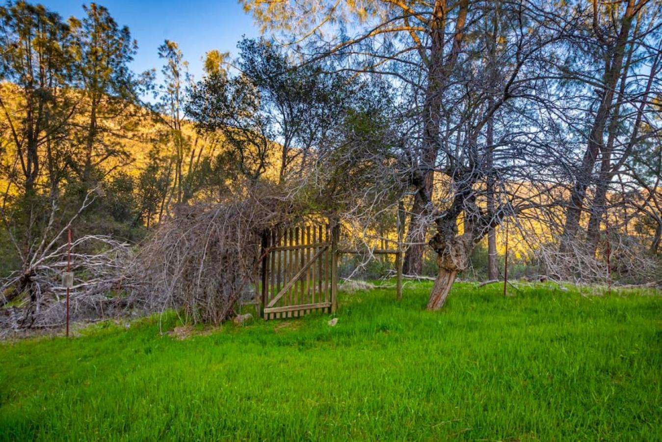 Sierra Vista Lookout Lodge With Creek, Waterfall And Waterholes, Minutes From Bass Lake And Yosemite South Gate North Fork エクステリア 写真